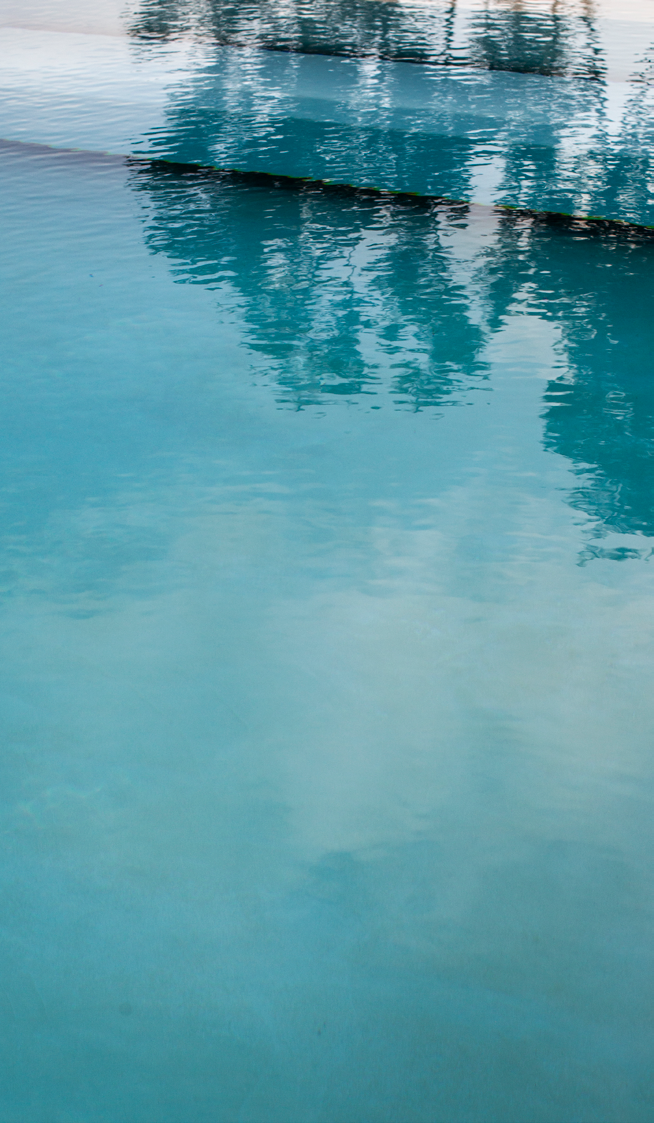 Detalhe da piscina infinita com agua cristalina e reflexos da vegetacao envolvente